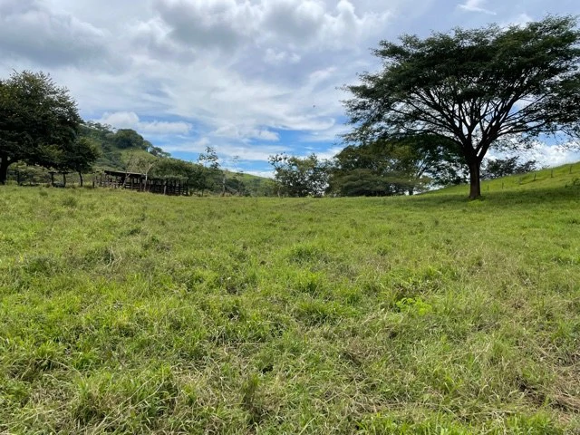10 acre Dream Mountain Farmland near Monteverde - Gallery image 8