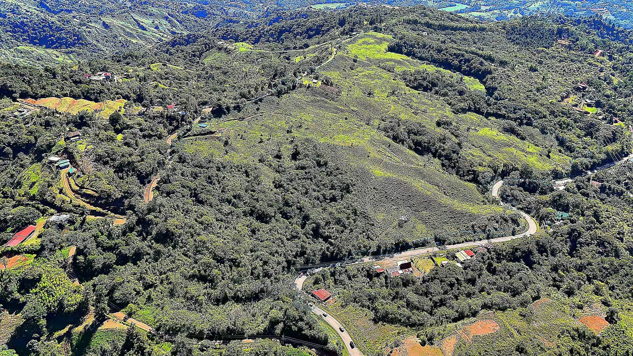 Mountain Agricultural Land For Sale in Alto San Juan - Gallery image 3