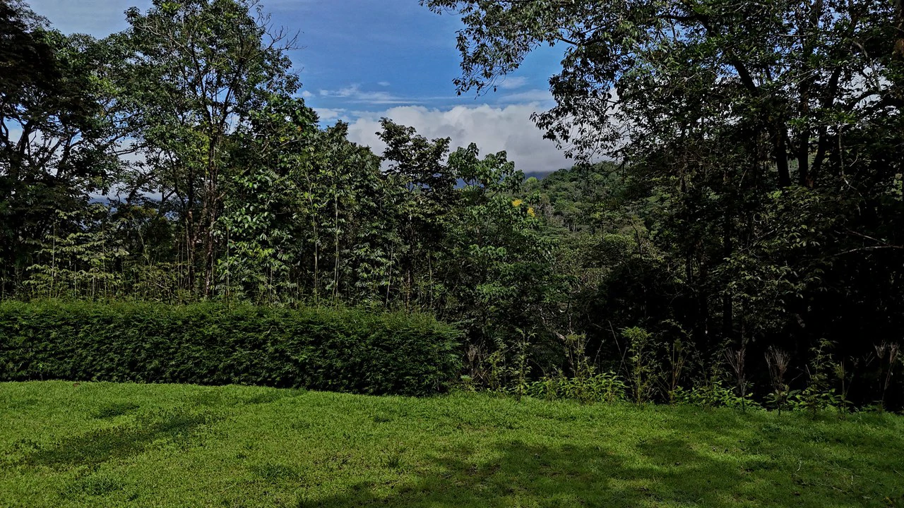 Tropical Paradise in Uvita: 939 sqm Property with Dual Building Sites, 5 Minutes from the Beach - Gallery image 14