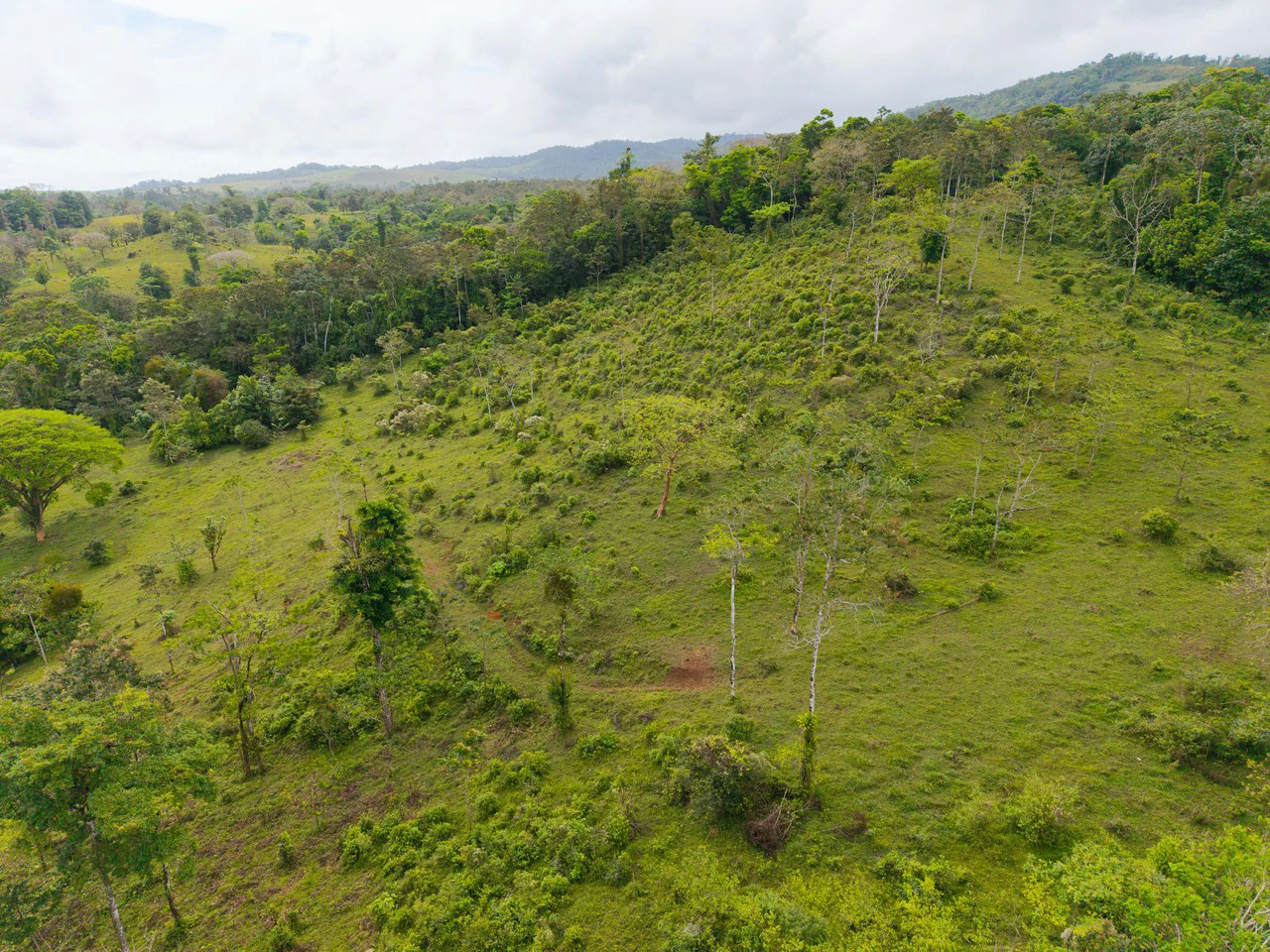 Finca Las Zompopas-Río Celeste: 113-Acre Biodiverse Property in Bijagua, Ideal for Eco-Tourism, Private Retreats, or Sustainable Development - Gallery image 15