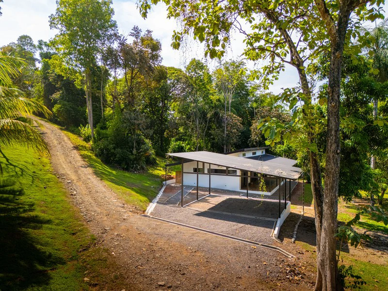 Ocean-View Oasis on Coveted Calle Perezoso - Gallery image 7
