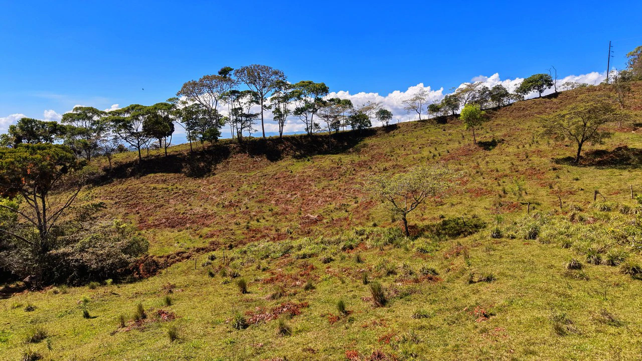 Agricultural Land For Sale in MORAZAN - Gallery image 6
