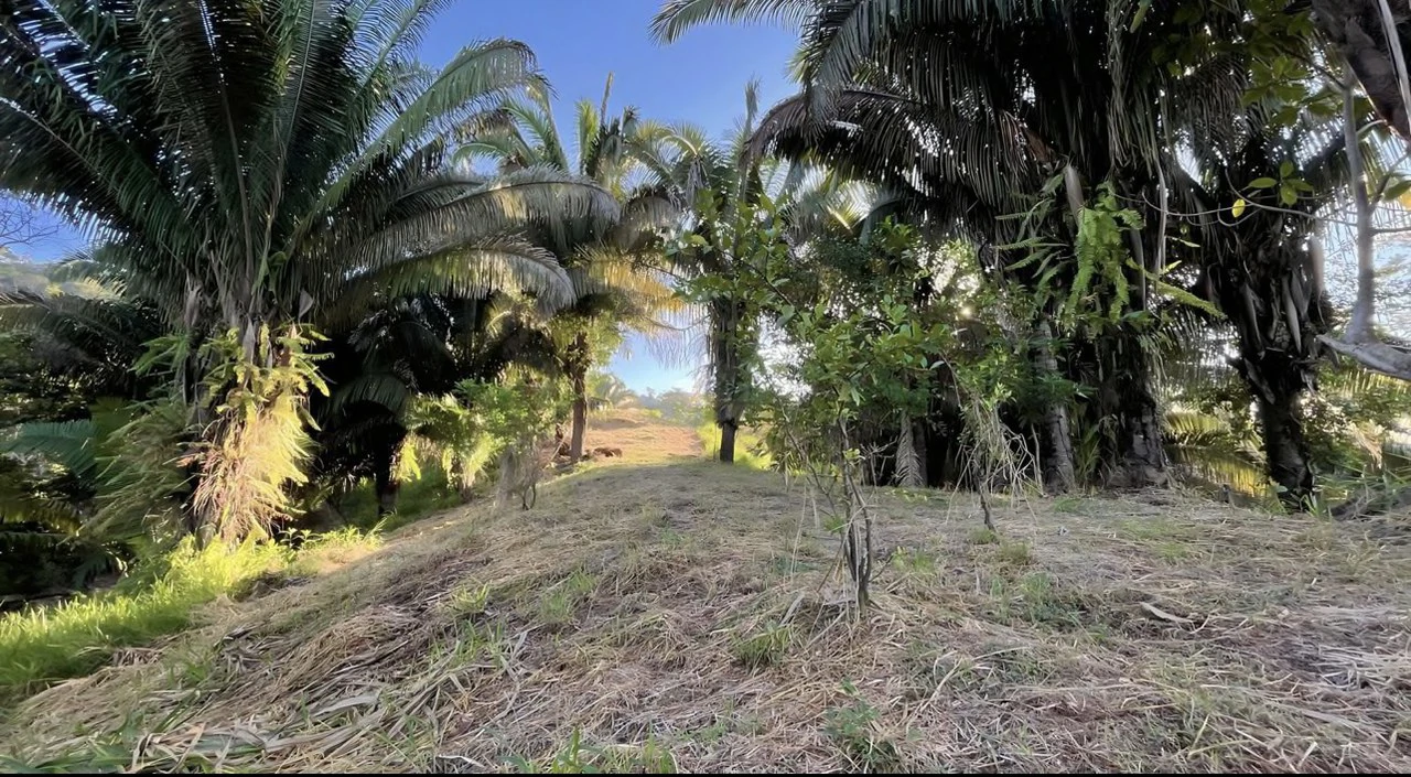 Exclusive Hermosa 1.2 Acre Lot with Panoramic Mountains and Ocean View. - Gallery image 12