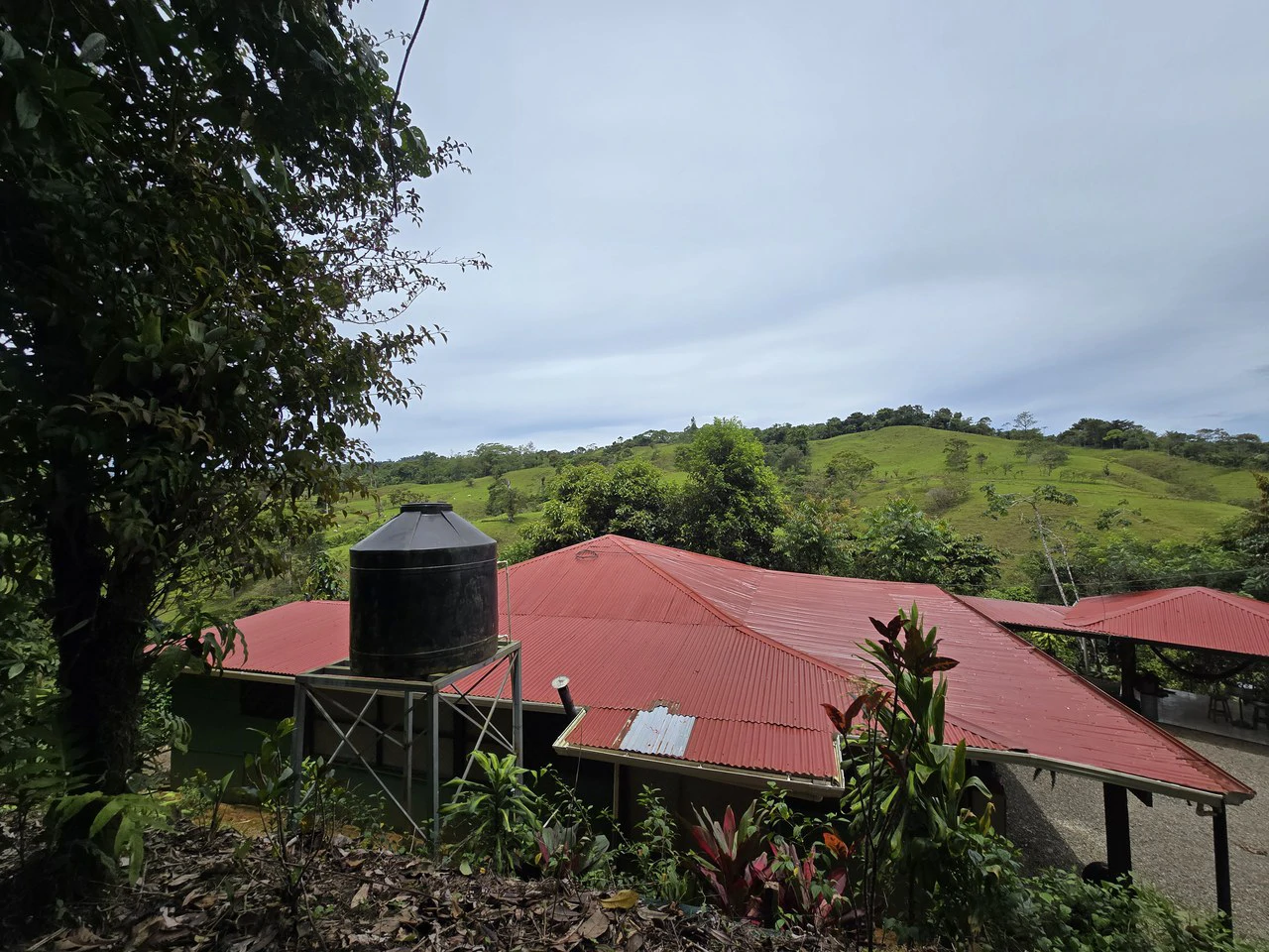Mountain and Countryside Agricultural Land For Sale in San Isidro del General - Gallery image 12