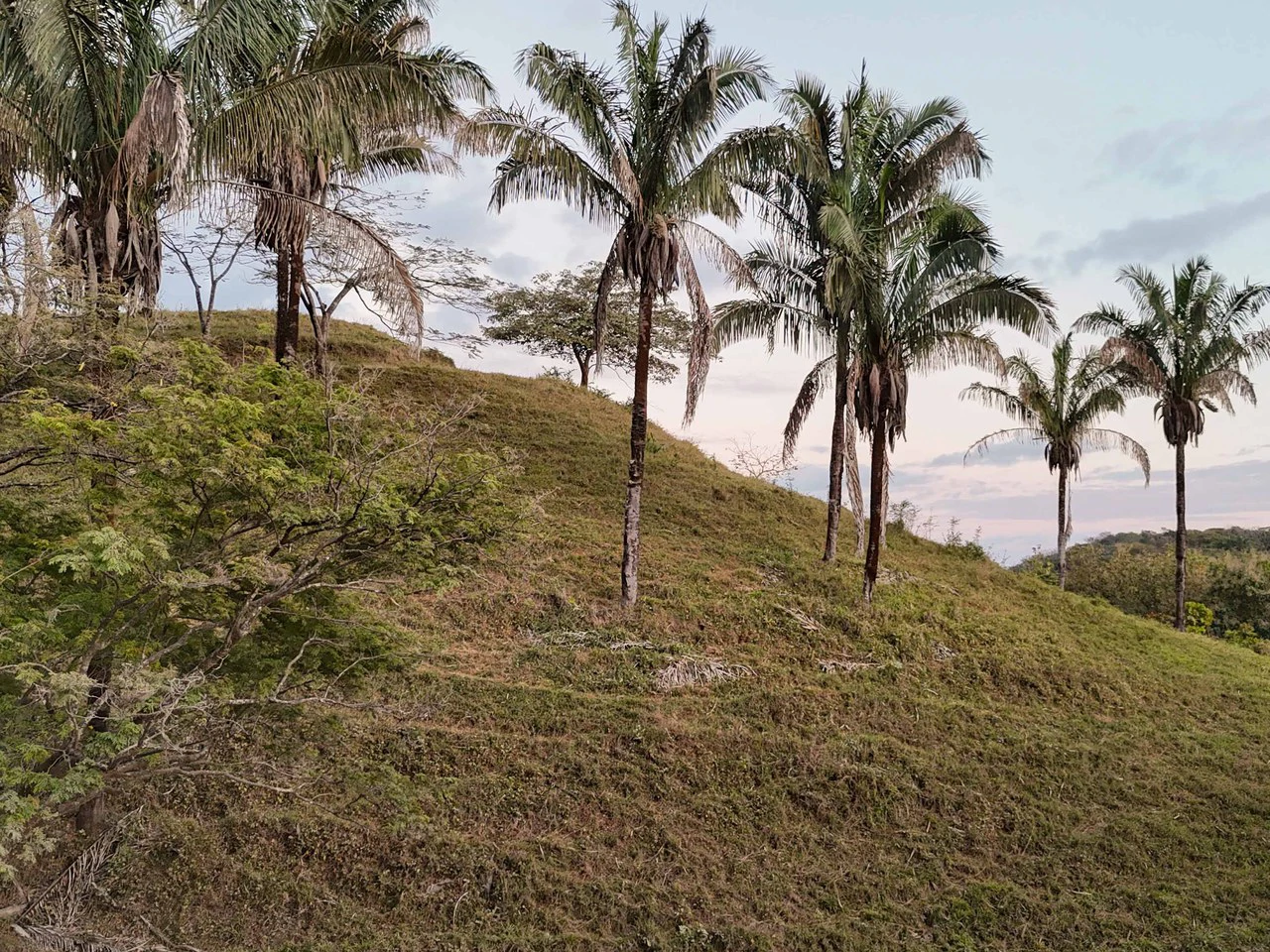 Lote Las Palmas - 1 Hectare lot a short distance to 3 beaches: Countryside Home Construction Site For Sale in Playa Samara - Gallery image 3