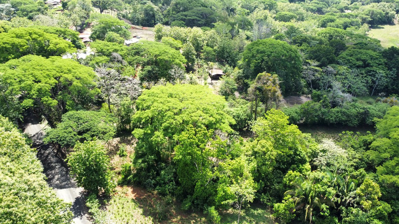 7-Hectare Farm with Teak Plantation, Existing Home & Eco-Development Potential Near Parrita, Costa Rica - Gallery image 7