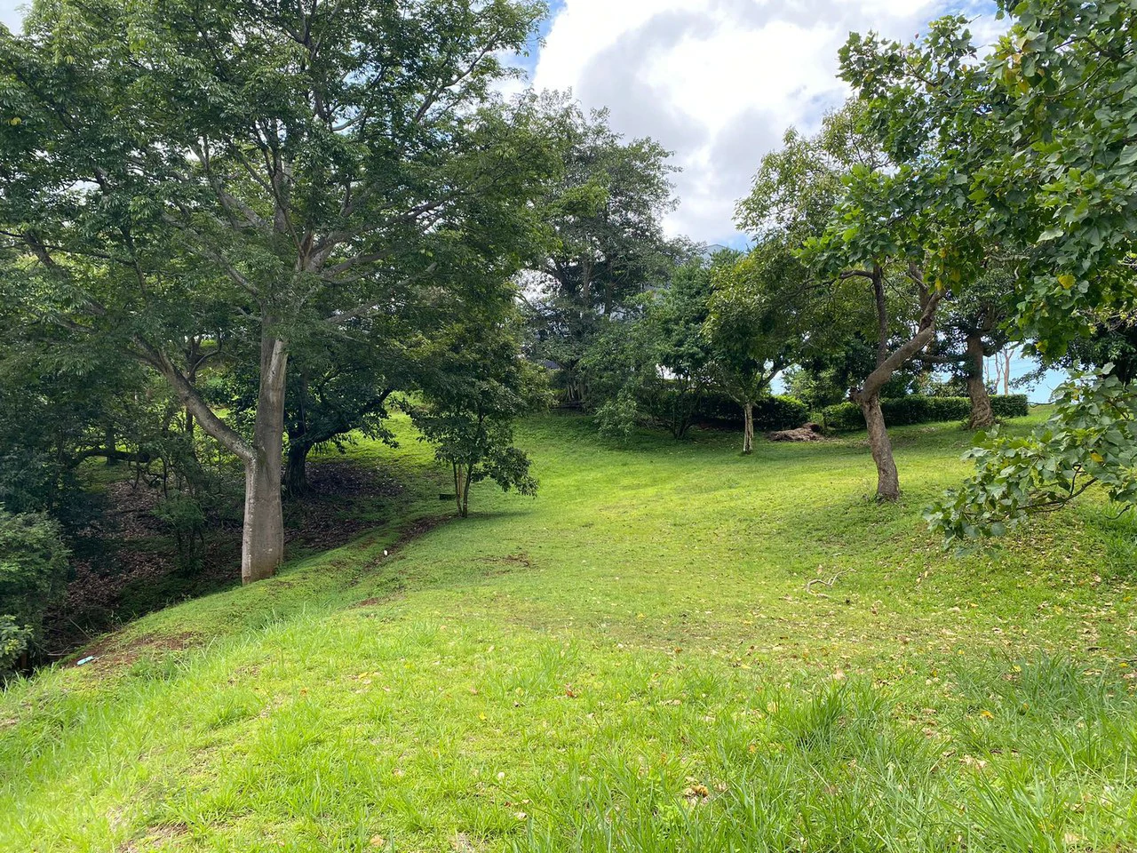 Home Construction Site For Sale in San Miguel - Gallery image 9