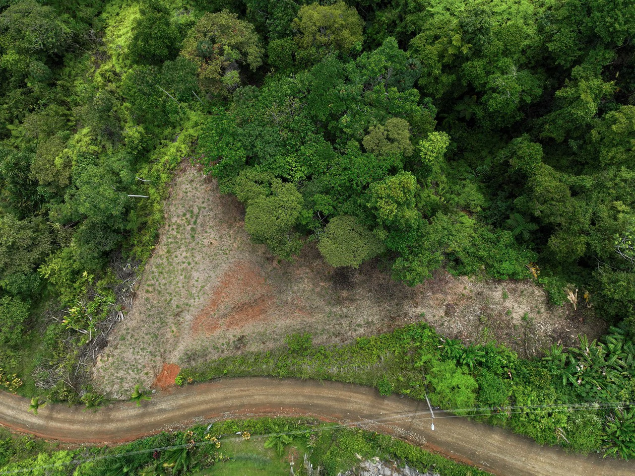 Ocean, Mountain View Ready to Build Lot on Desired Calle Perezoso - photo 3