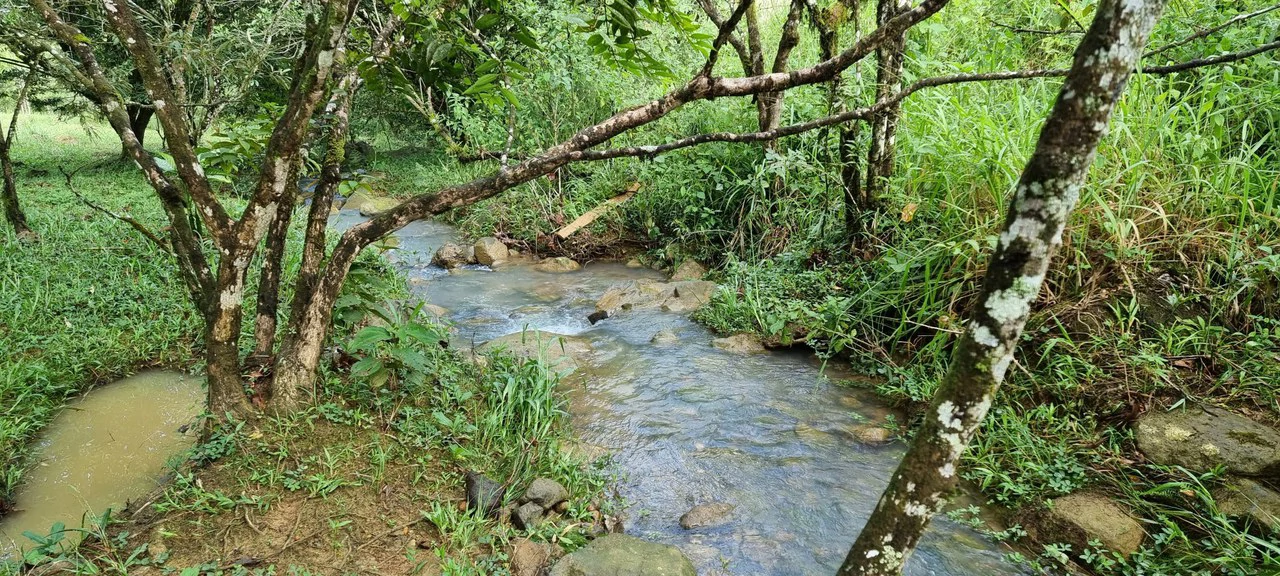 Lote 46 RISE: BEAUTIFUL 1.37-ACRE LOT WITH CREEK FOR SALE IN THE HEART OF THE RESIDENCIAL RISE, SANTA ELENA - Gallery image 5