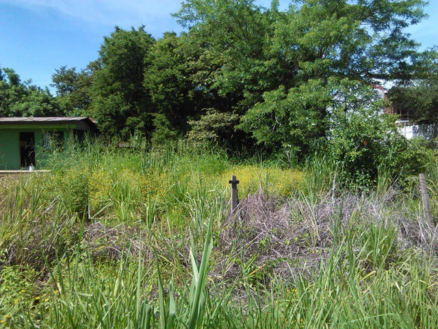 Discovery Park. Property with excellent location - Gallery image 4