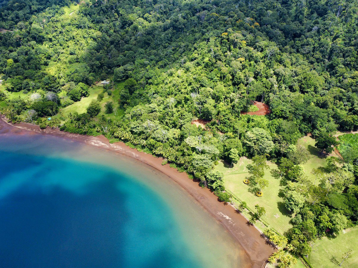 Spectacular Coastal Rainforest Estate Property