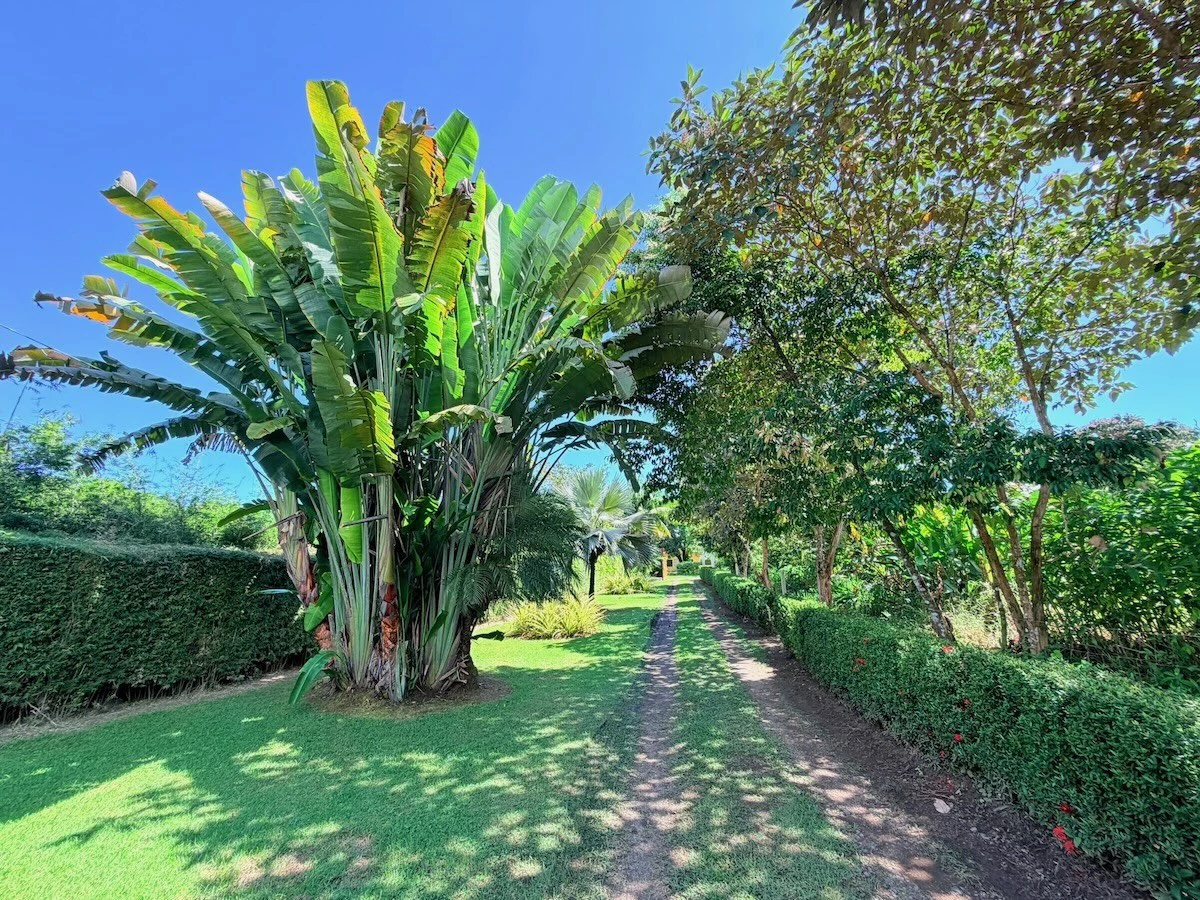 Osa Peninsula Turnkey Property Near Golfo Dulce Beach - Gallery image 4
