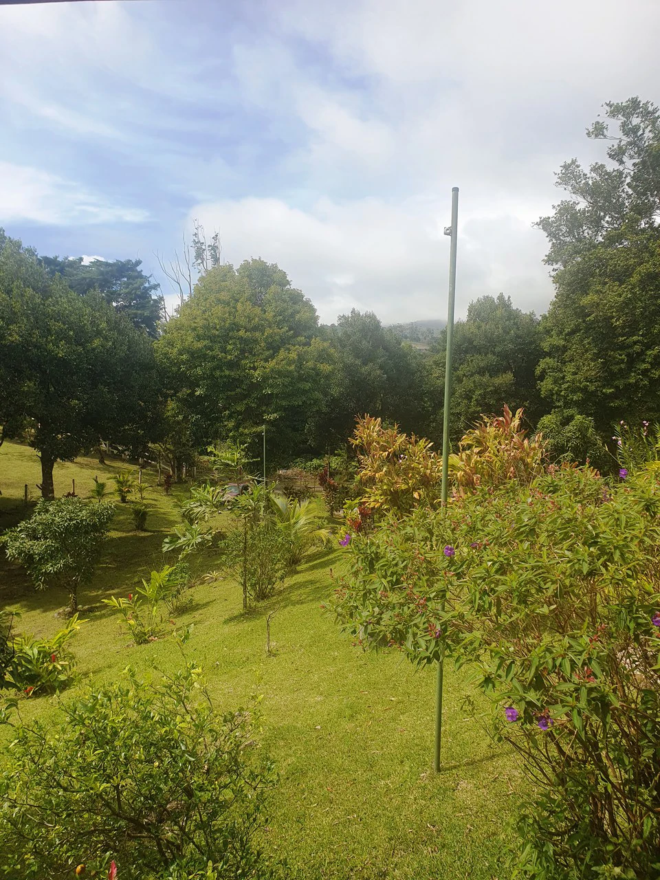 Lakeview Serenity Estate - Two Family Home: Stunning Lakeview Two-Family Home on 3,600 m² – Privacy, Nature & Income Potential