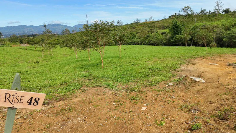 lote 48 RISE: BEAUTIFUL LOT FOR SALE IN THE HEART OF RISE COSTA RICA WITH CREEK (63,475 SQFT) - Gallery image 7