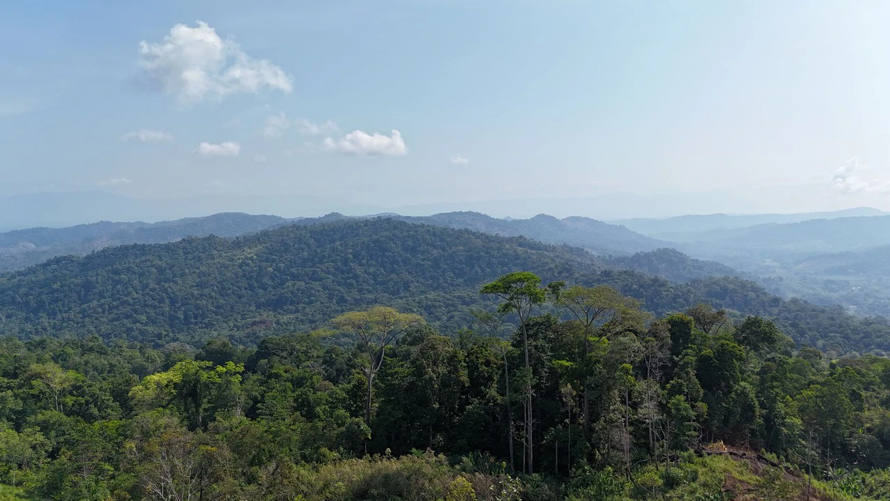 CONSERVATION AND DEVELOPMENT LAND WITH OCEAN VIEW IN SIERPE, COSTA RICA - Gallery image 27