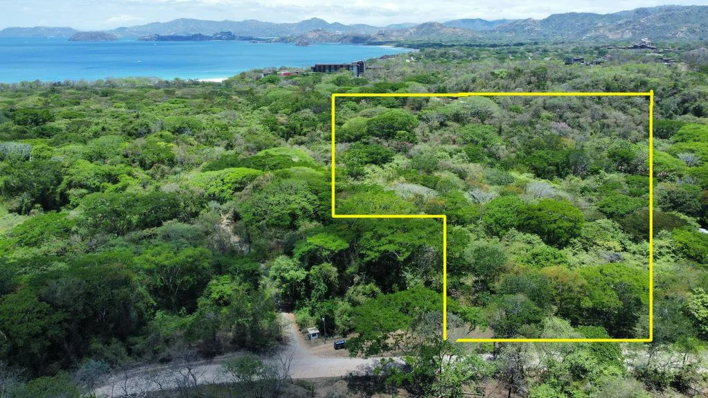 5.67 Hectares in Puerto Viejo: Prime Development Parcel Just 2 Mins from the Beach