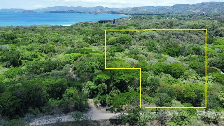 5.67 Hectares in Puerto Viejo: Prime Development Parcel Just 2 Mins from the Beach