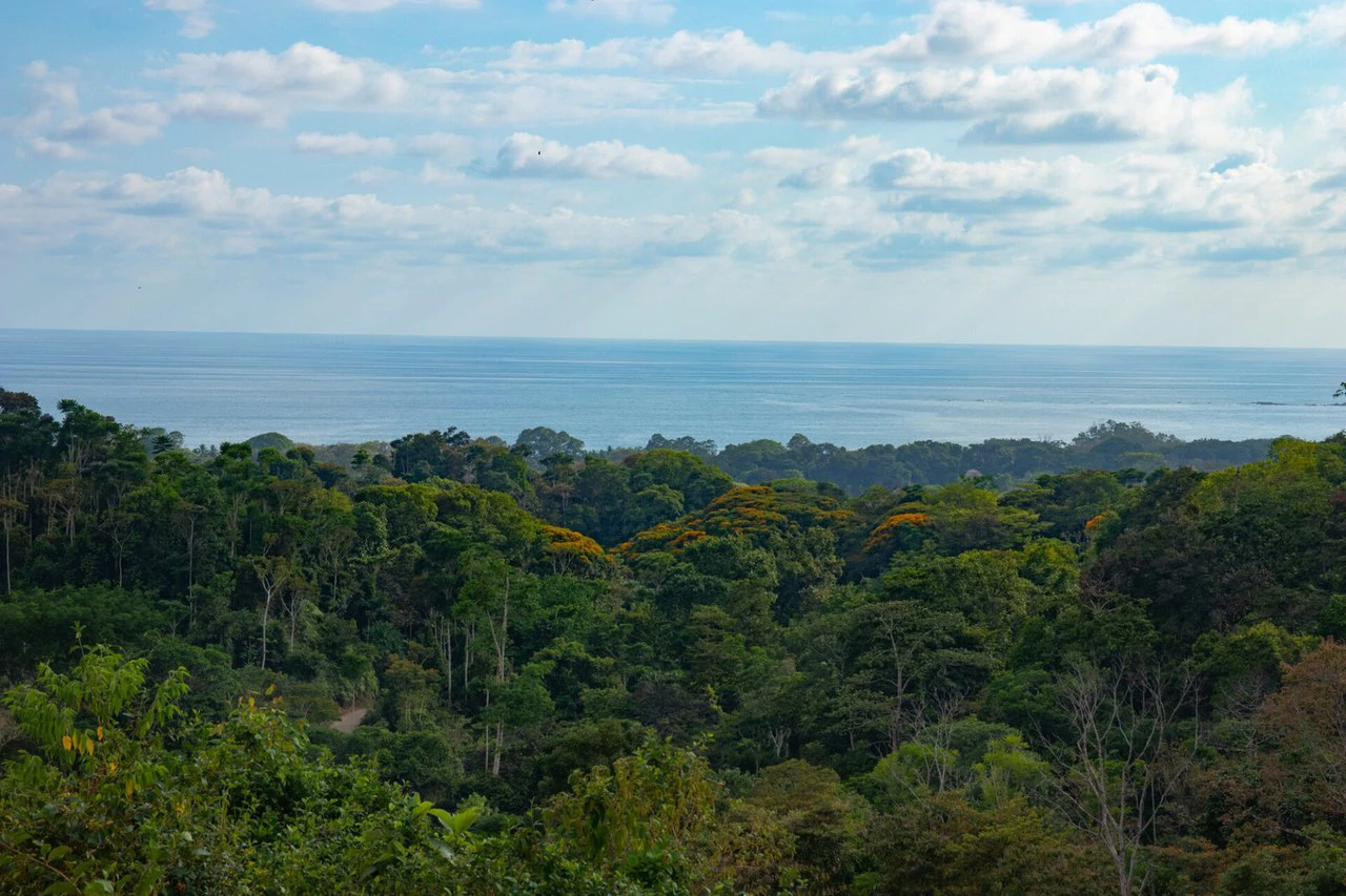 10 ACRES – Rare Ocean View Development Or Estate Property In Uvita – With Waterfall!!! - Gallery image 9