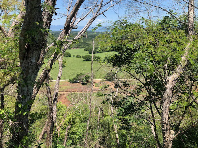 Amazing 50% discount for Huge ocean-view farm for sale surrounded by soft rolling hills and pristine nature - Gallery image 9
