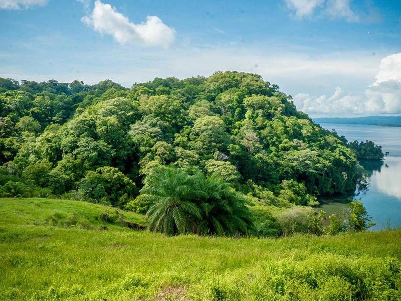 Bahía Chal Gulf View Close to Puerto Jimenez - Gallery image 47