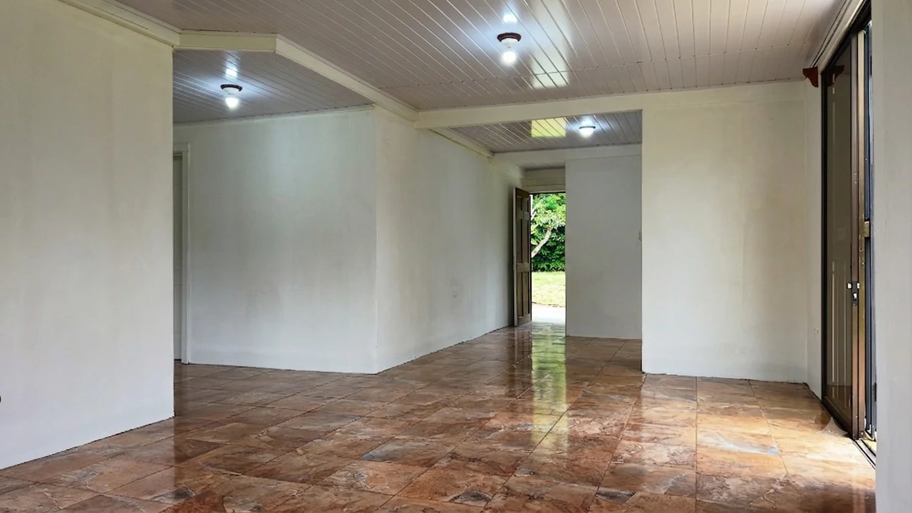 House For Sale in Daniel Flores - photo 8