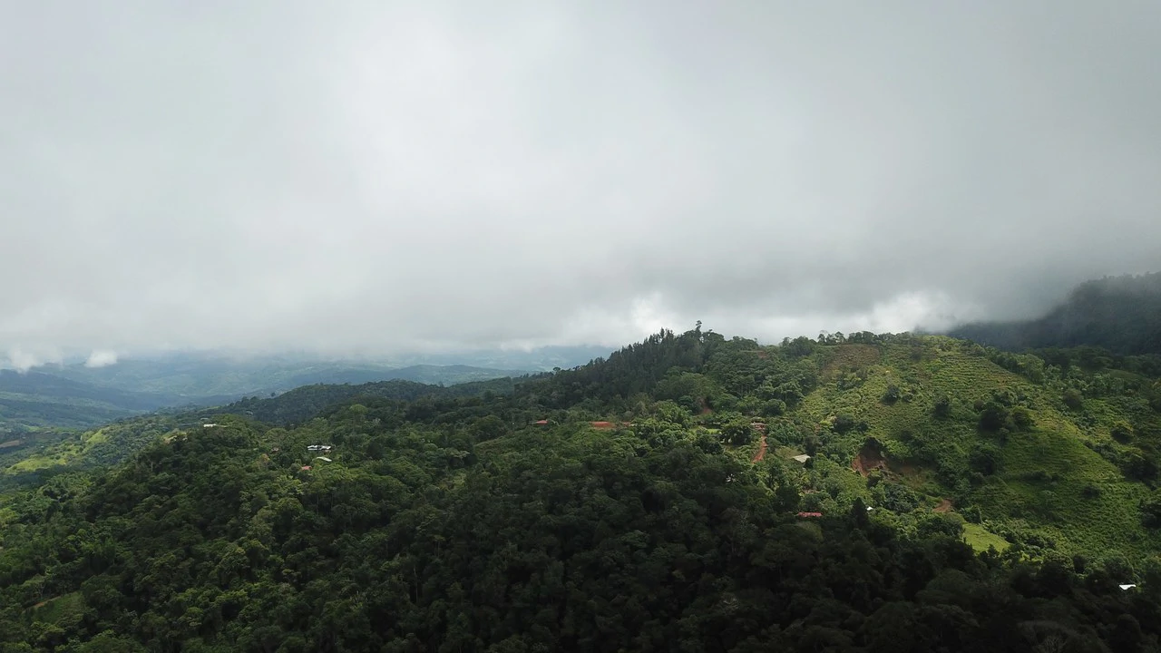 Ocean View Forest Reserve with Private Homesite Near Tinamastes - Gallery image 7