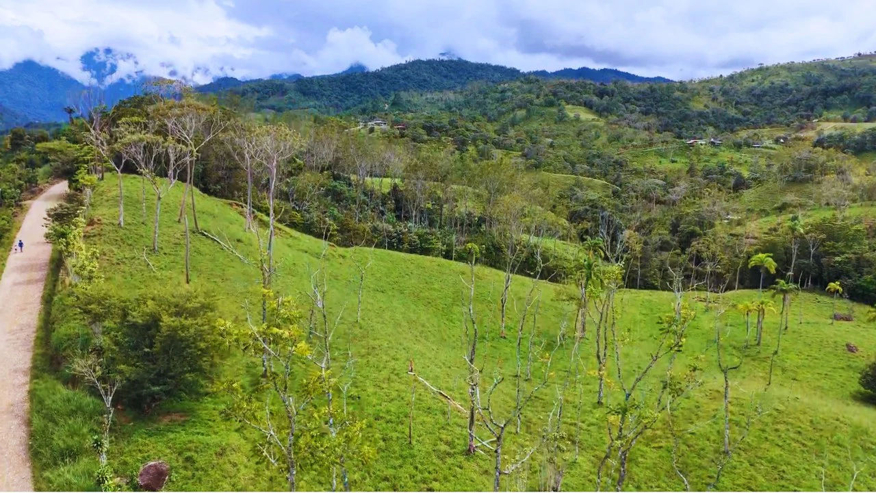 Countryside Home Construction Site For Sale in Daniel Flores - Gallery image 12