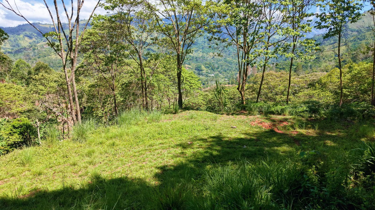 Mountain Home Construction Site For Sale in Guadalupe - Gallery image 4