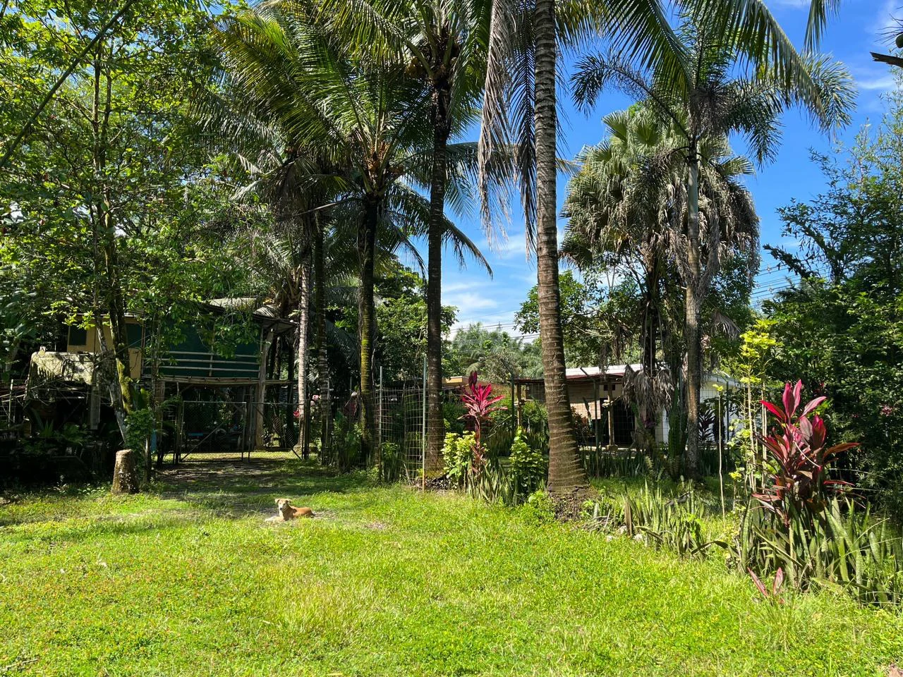 Perla Tropical Rio Seco: Great Opportunity for Sale with reduced price - Gallery image 17