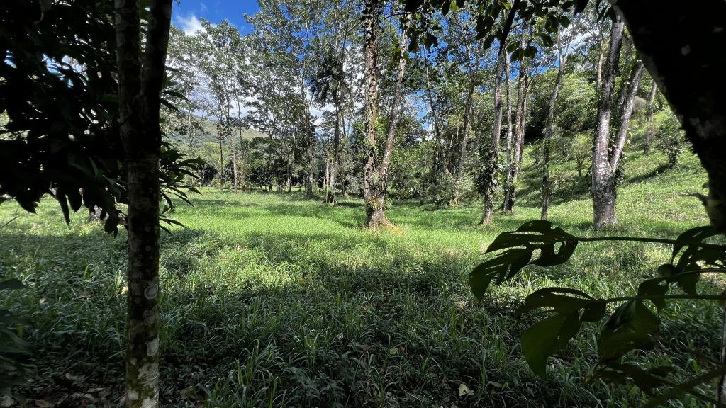 Mountain Home Construction Site For Sale in Guadalupe - photo 2