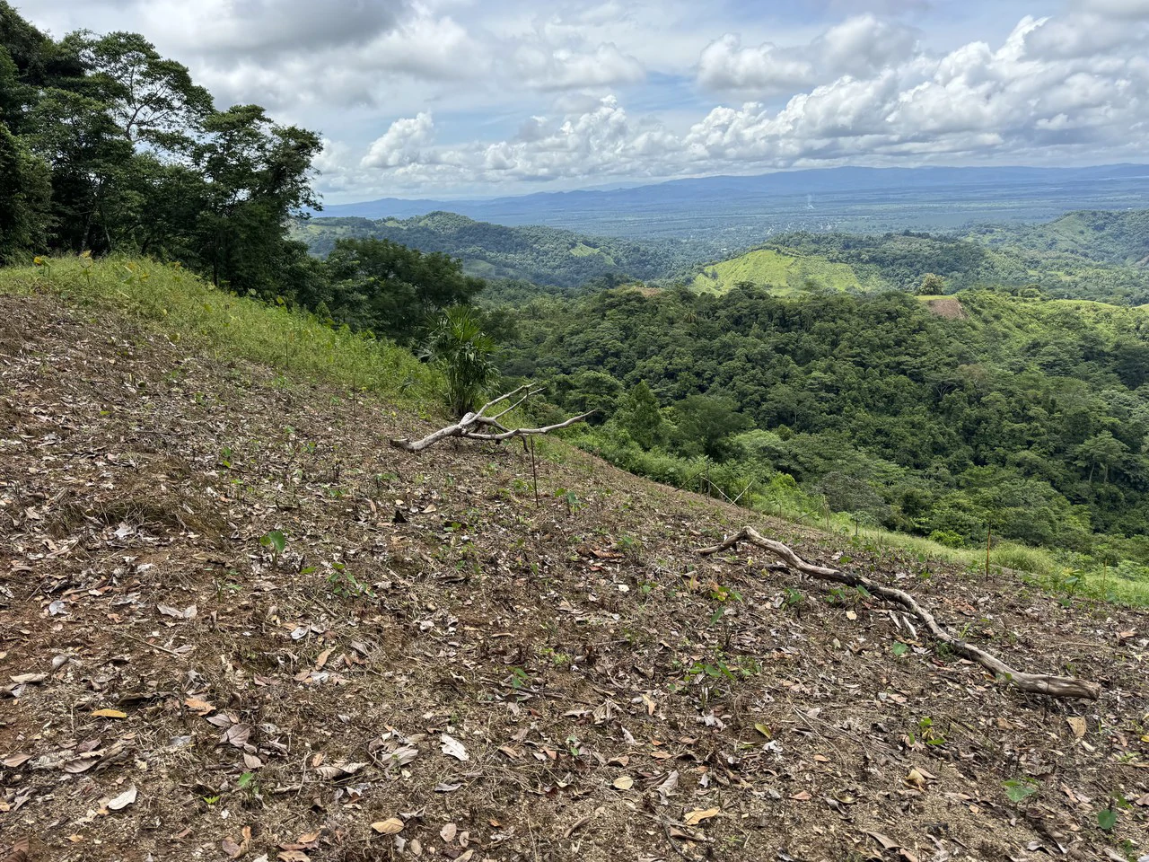 137 Acre Ocean View Farm with Riverfront in Southern Costa Rica - Gallery image 23