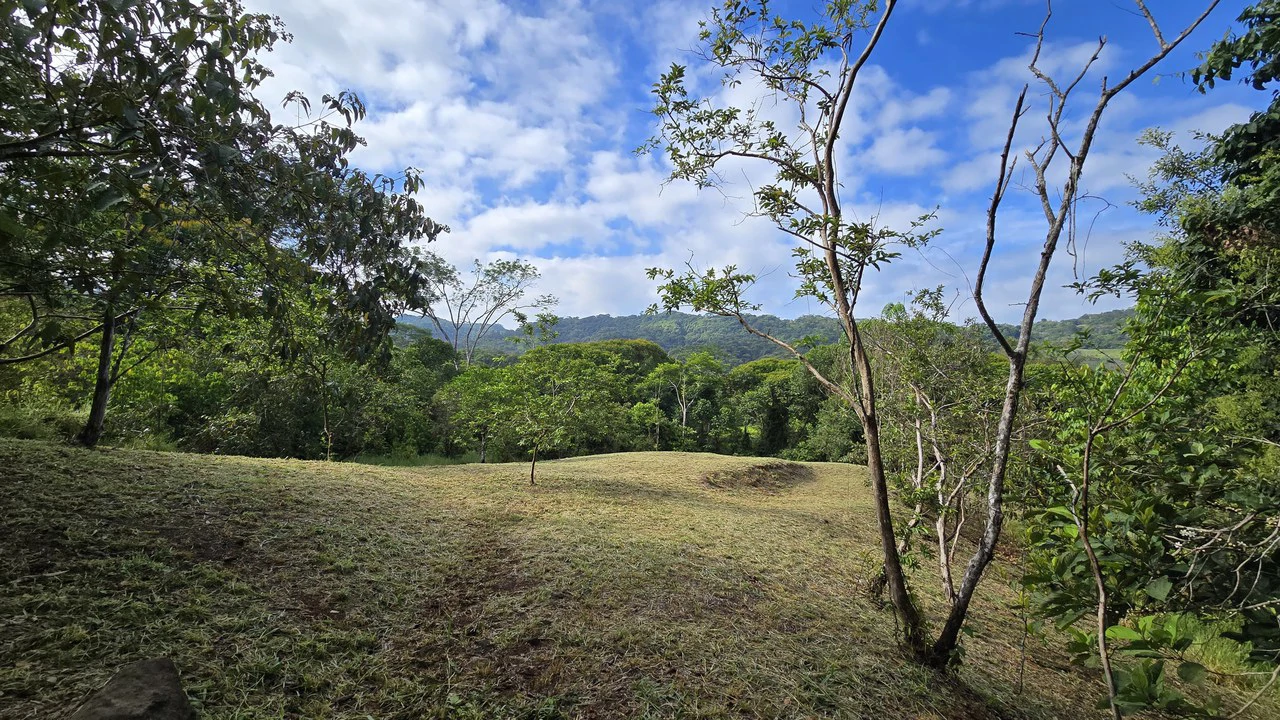 FINCA EN BARÚ GUSTAVO-149760: Mountain Agricultural Land For Sale in Barú - Gallery image 11
