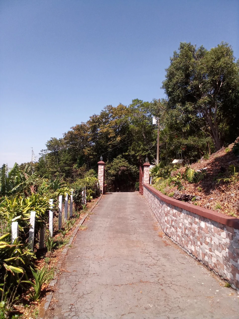Mansion in the Hills: Spectacular Hacienda Mansion with City Views! - Gallery image 3