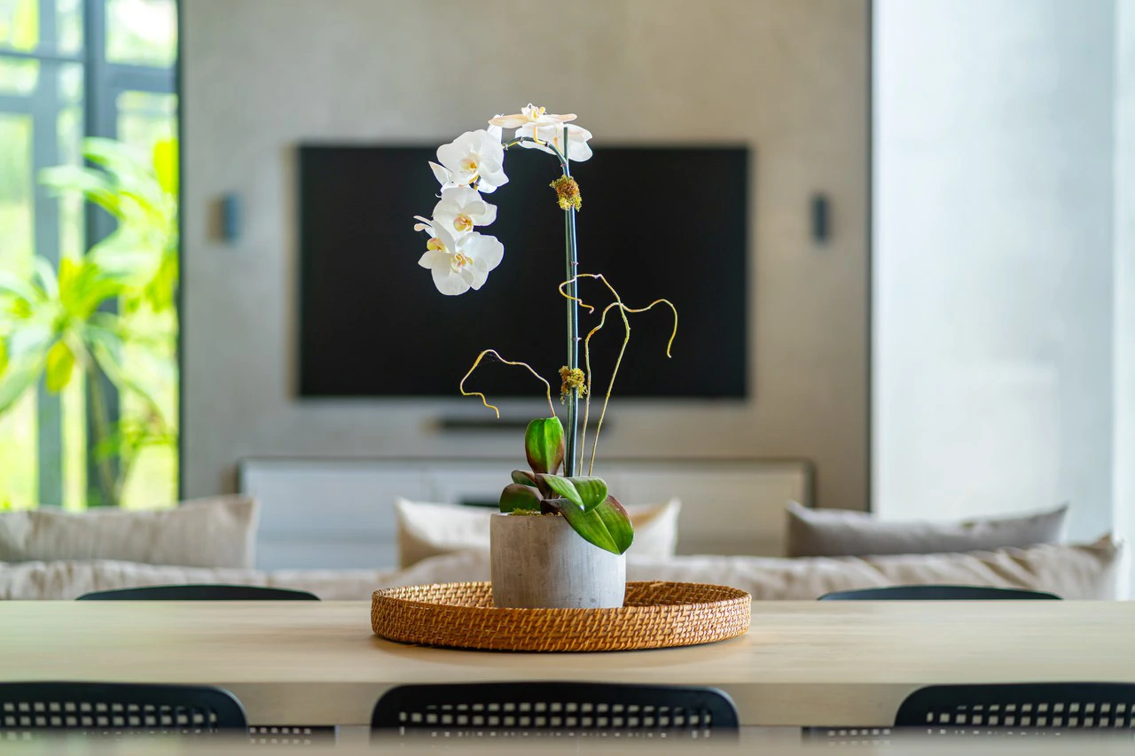 Casa La Artista: Sleek Modern Retreat with Ocean & Mountain Views in Ojochal - Gallery image 17