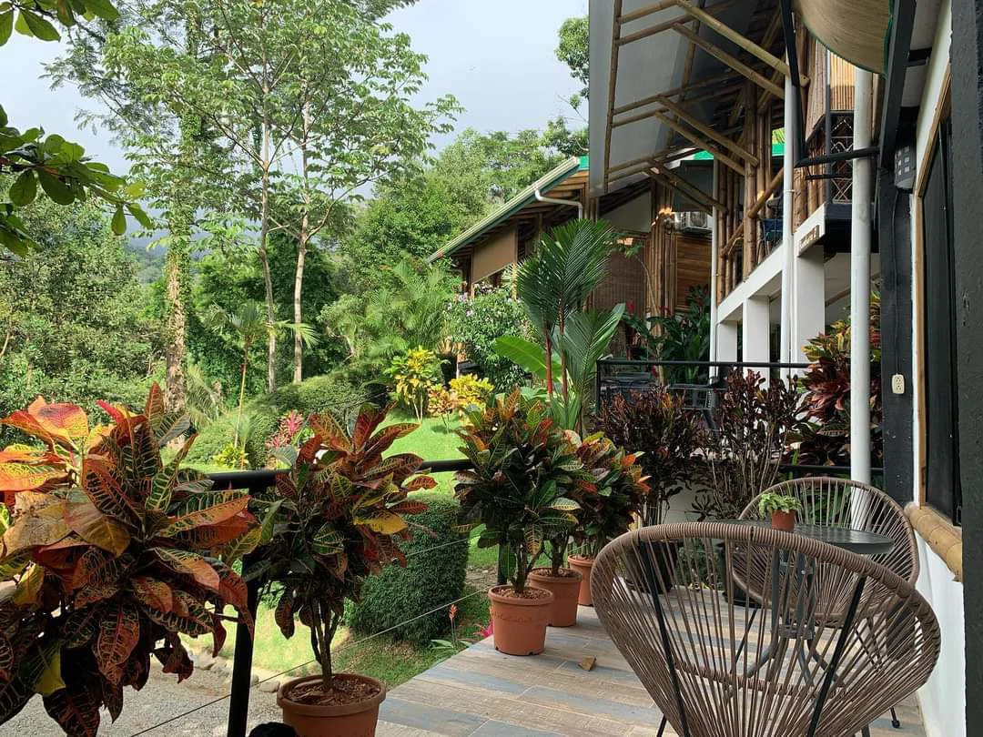 Cabinas Bambura: Cabinas Bambura: Successful Airbnb Business with Stunning Mountain & Jungle View - Gallery image 16