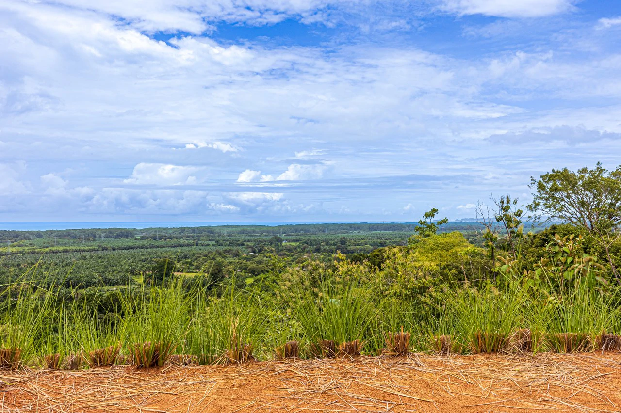 New Gated Development in Matapalo - Ocean View and Flat Land, ready to build! - Gallery image 22