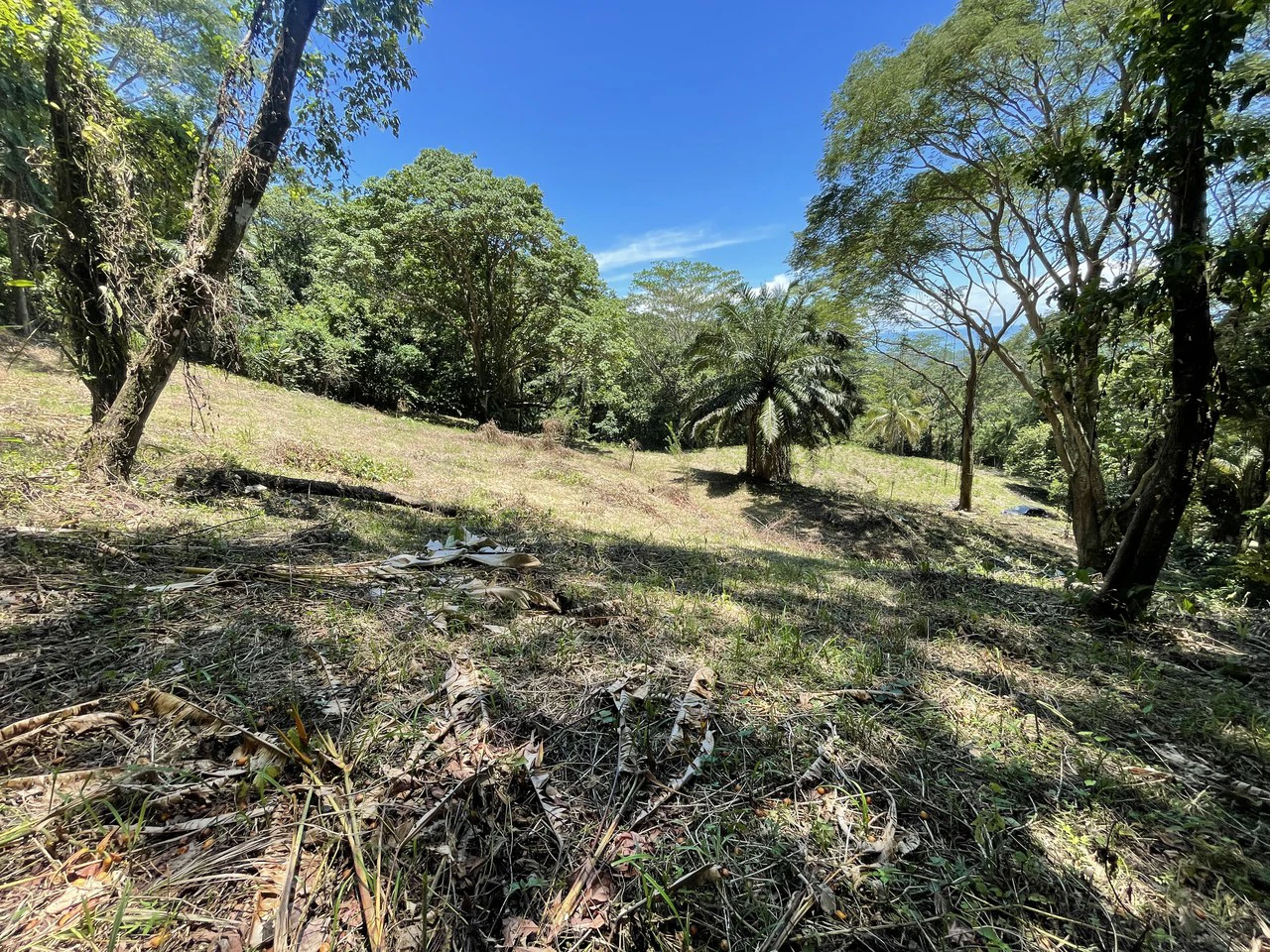 5.4 ACRES – Amazing Ocean View Acreage With Multiple Building Sites And Legal Water!!! - Gallery image 2