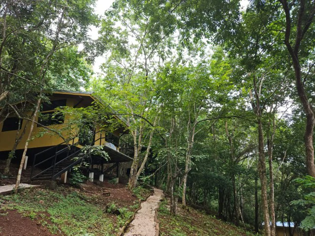 Nosara's Brand New Top Villas as a Business Opportunity in the dense forest of catchment area, 7 villas for sale in Costa Rica's Healthy Blue Zone - Gallery image 16