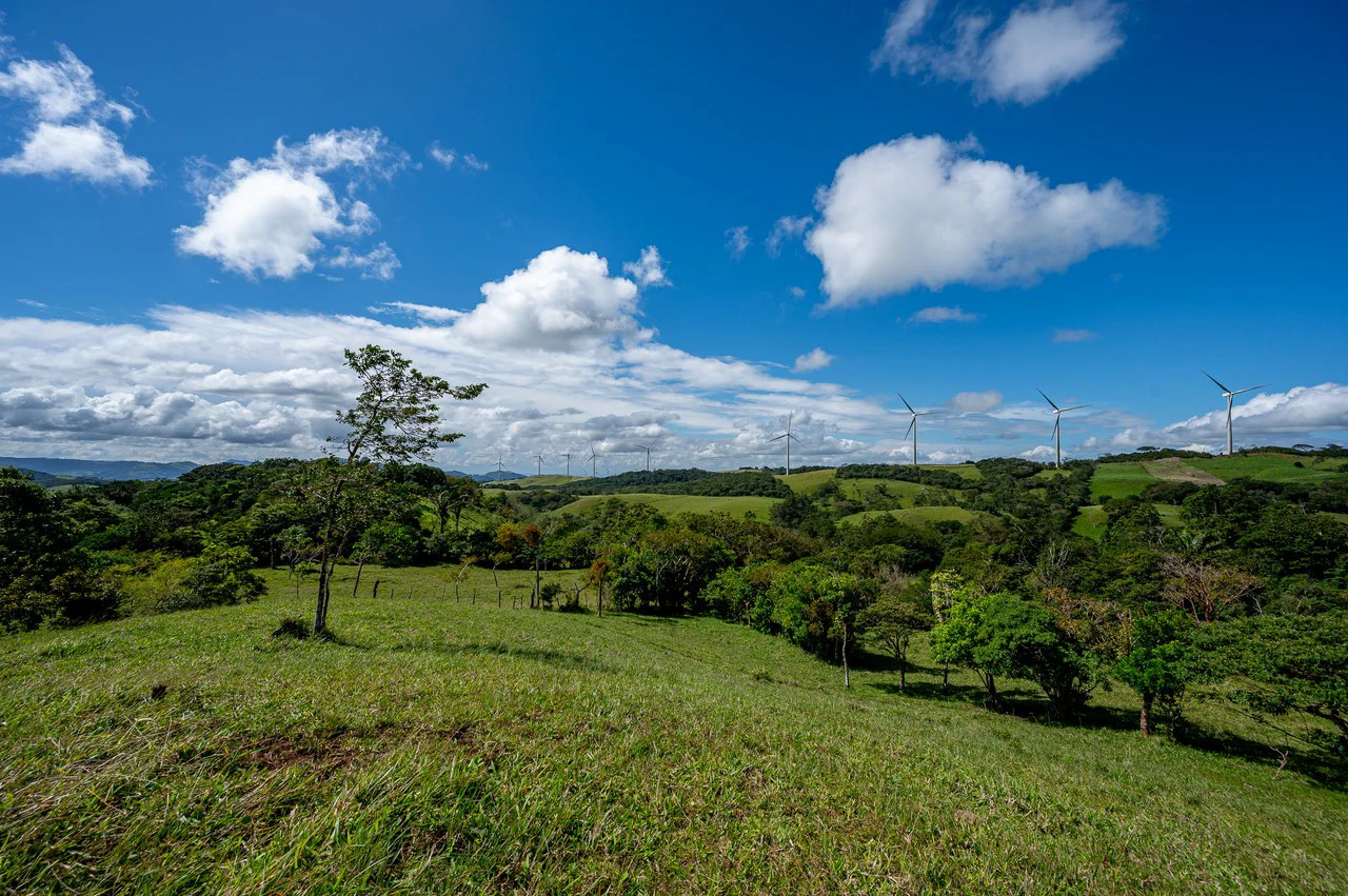 LA CABAÑA - COUNTRY ESTATE WITH HUGE POTENTIAL - Gallery image 46