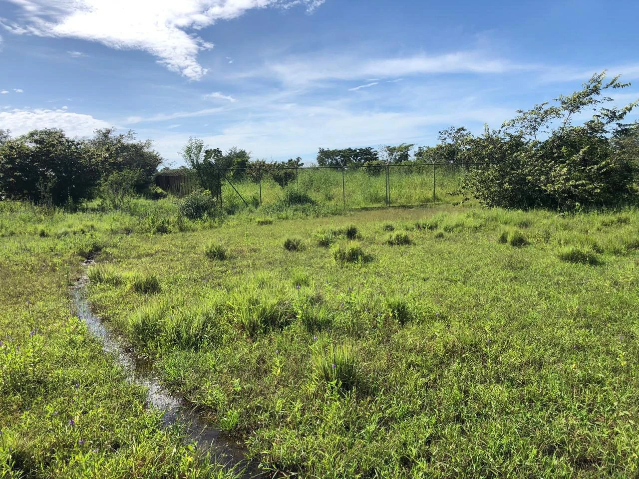 Great investment opportunity, property adjacent to Liberia Airport - Gallery image 6