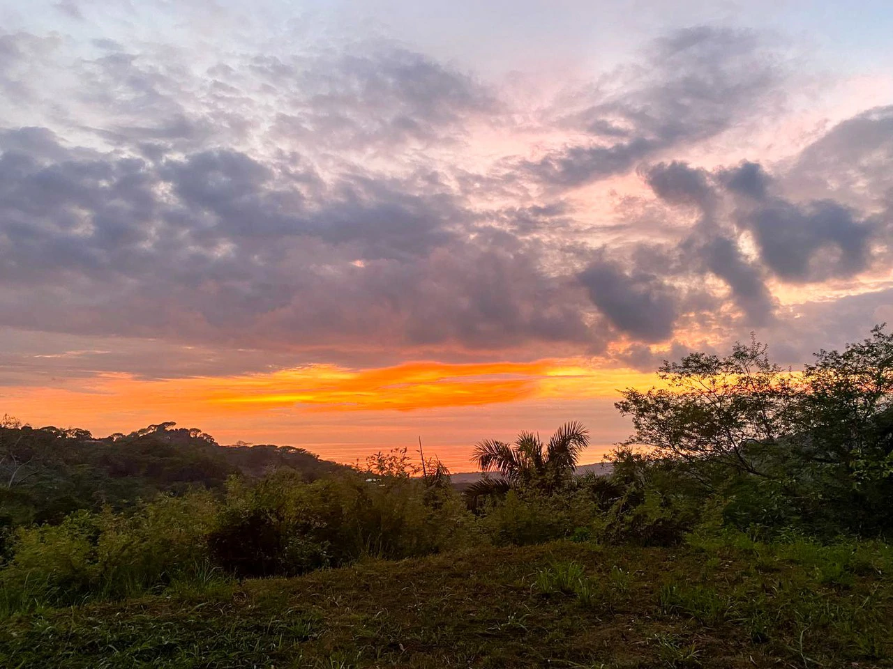 3.6 Acre Ocean View, Near the Beach & Cool Mountain Elevation: Mountain Home Construction Site For Sale in Lagunas - Gallery image 19