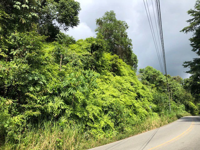 6.5 ACRES – Space To Grow, Build & Thrive, Close To The Beach & Commercial Potential Road Frontage!!!!!: Mountain and Countryside Development Parcel For Sale in Platanillo de Dominical - Gallery image 18