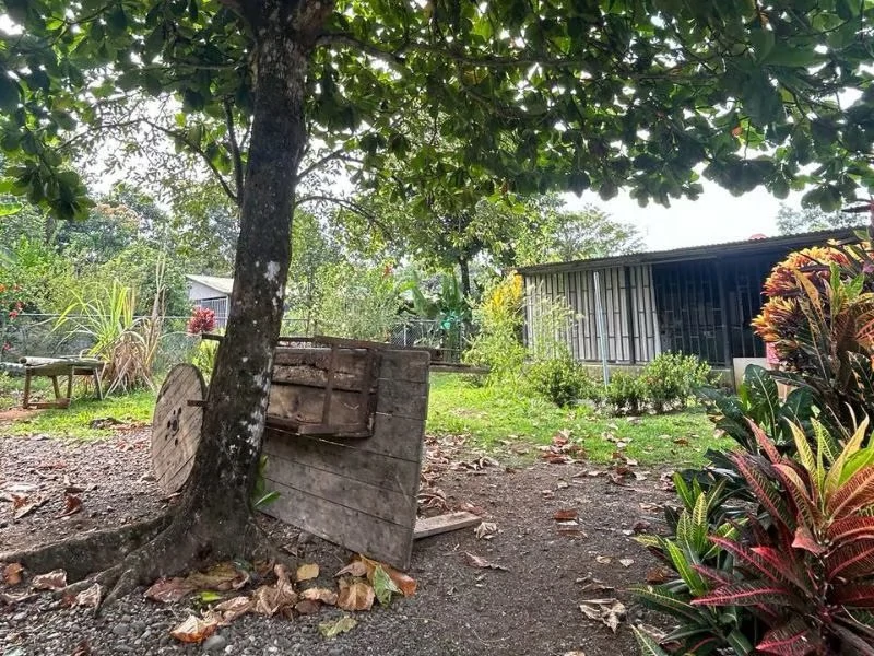 Beautiful Gardened Costarican Casita: Beautiful Gardened Costarican Casita For Sale in Osa - Gallery image 2