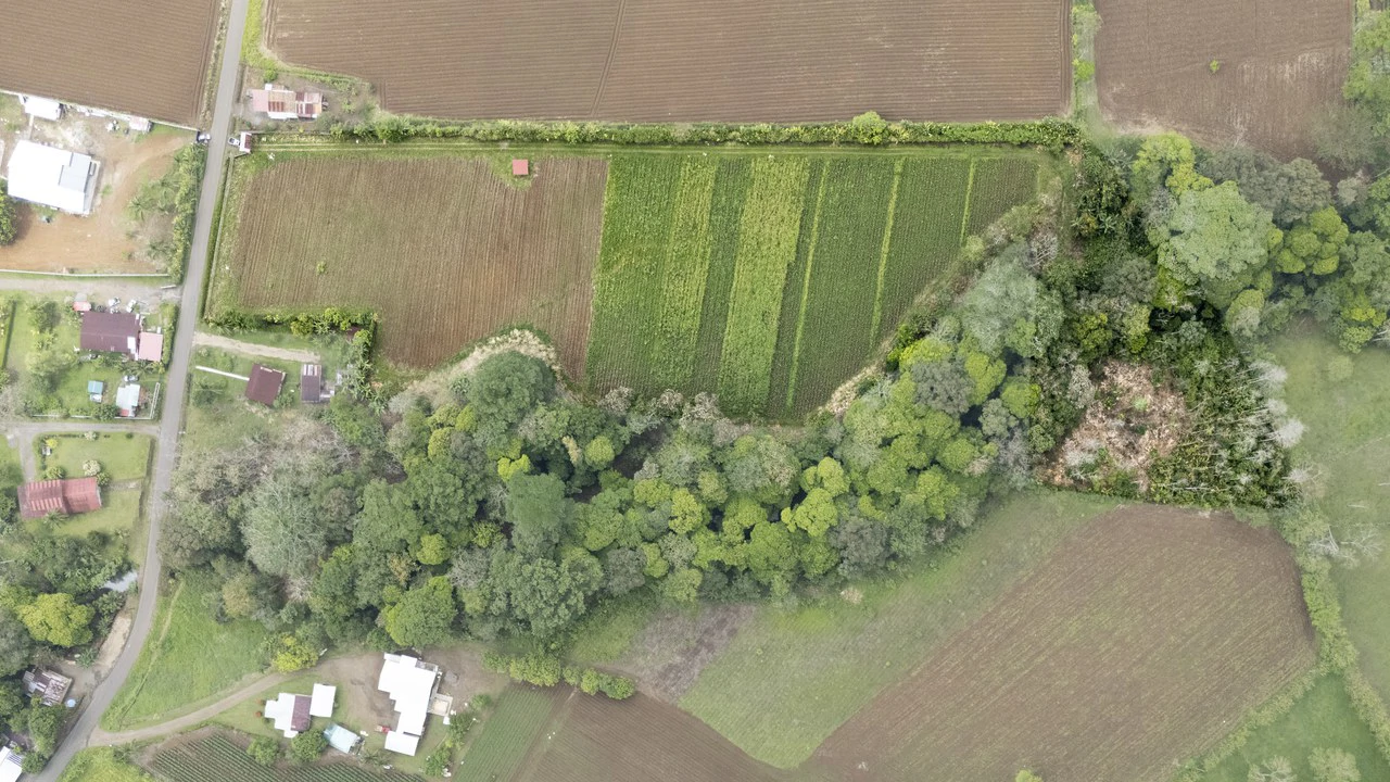 $8 Dollars per meter: Countryside Development Parcel For Sale in Los Angeles - Gallery image 6