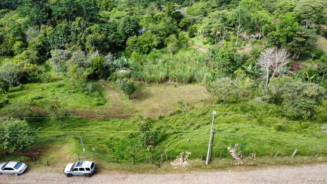 Propiedad en San Blas: Mountain Agricultural Land For Sale in La Linda General Viejo - Gallery image 23
