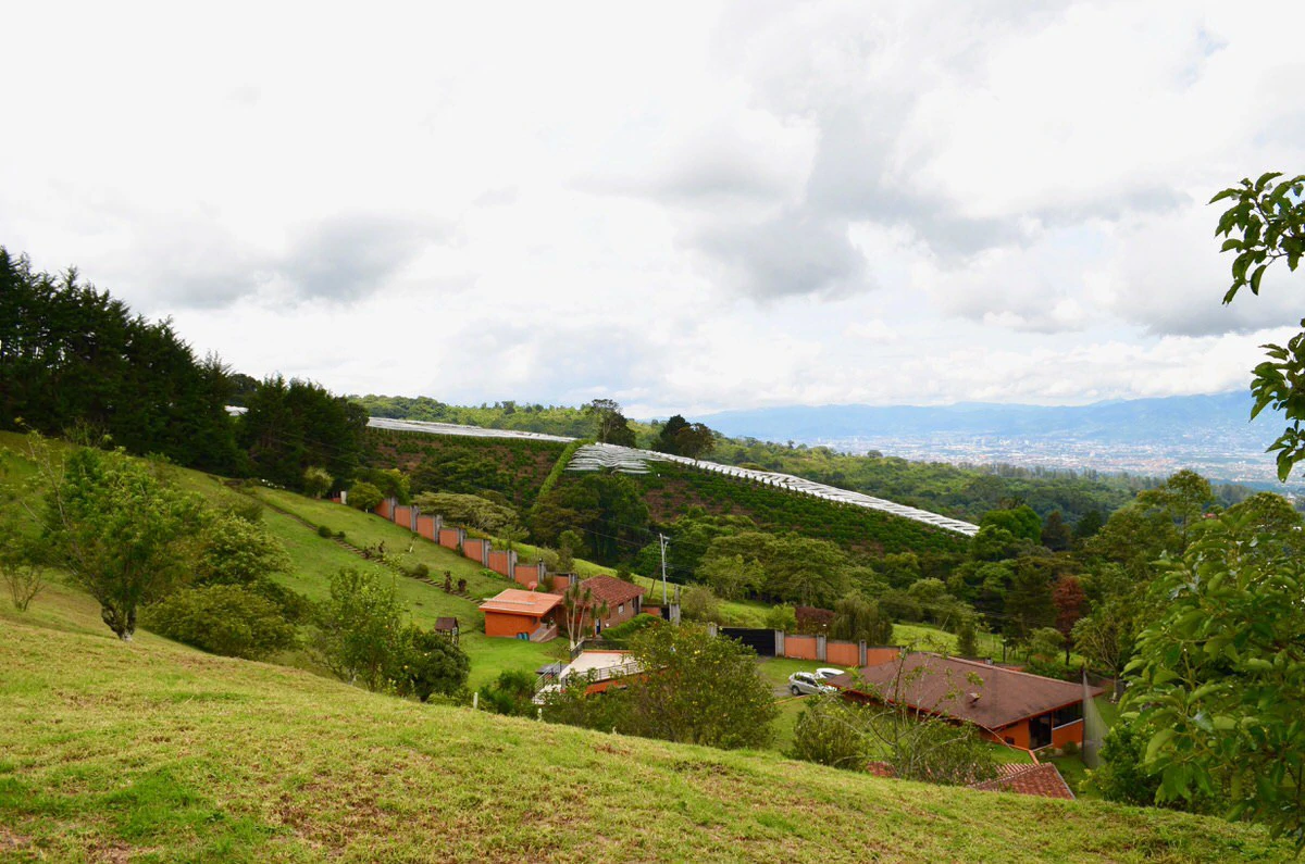 Finca doña Flory: Property with incredible views in Santa Barbara, Heredia - Gallery image 23