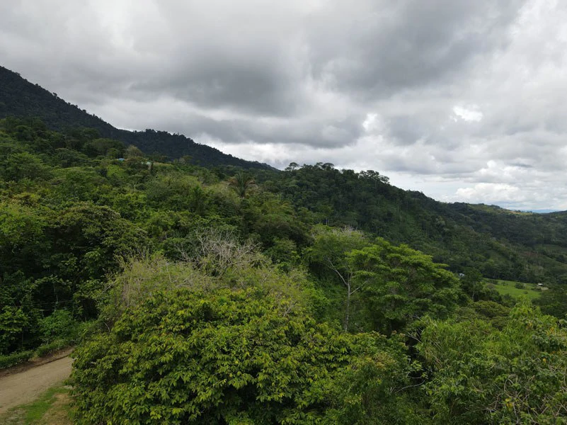 Panoramic 180 Degree Ocean View Lot Ready To Build Close To Ojochal - Gallery image 29
