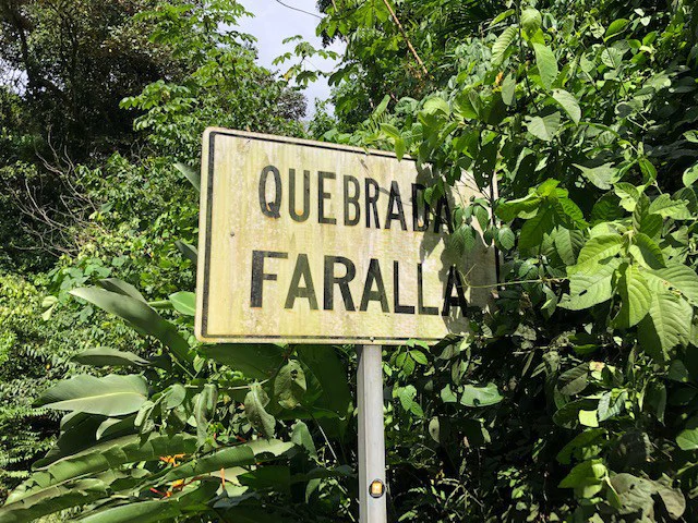 6.5 ACRES – Space To Grow, Build & Thrive, Close To The Beach & Commercial Potential Road Frontage!!!!!: Mountain and Countryside Development Parcel For Sale in Platanillo de Dominical - Gallery image 10