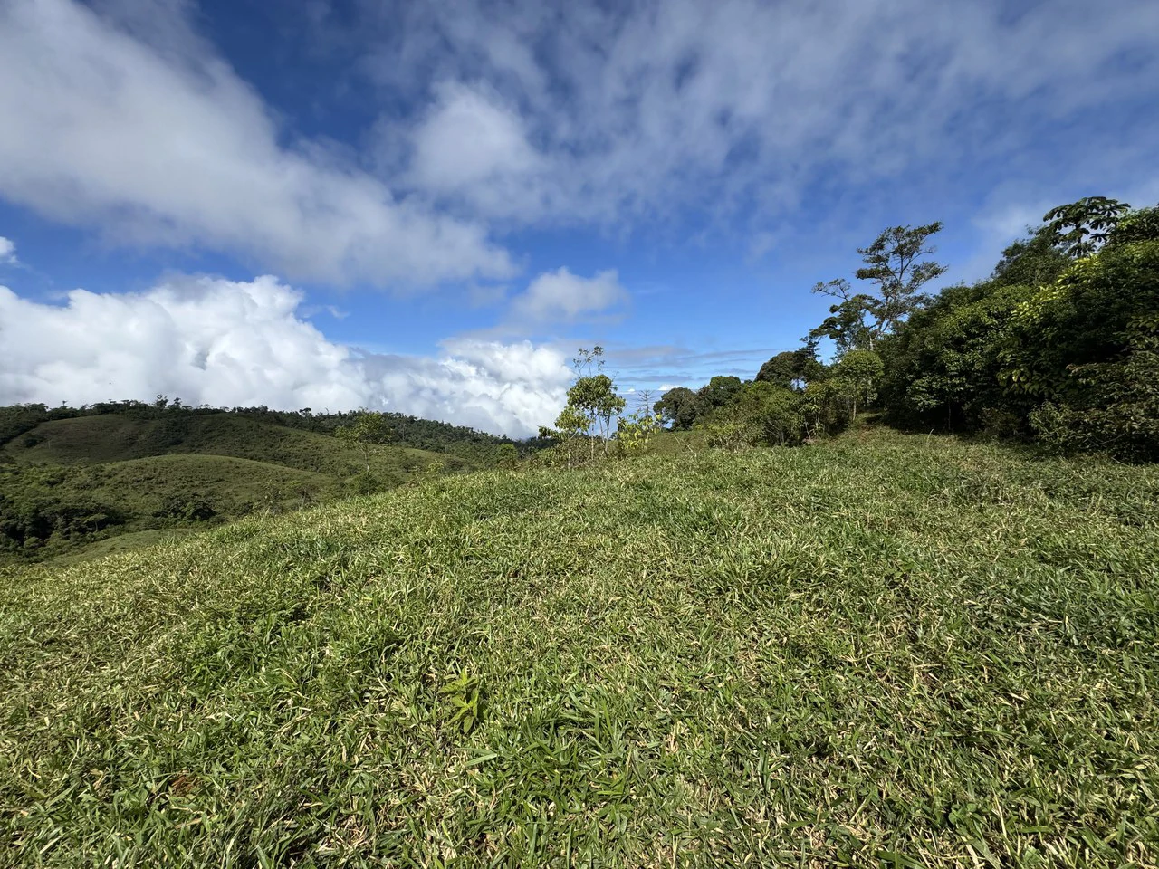 47 Acre Off Grid Ranch with Ocean & Mountain Views San Lorenzo Perez Zeledón - Gallery image 28