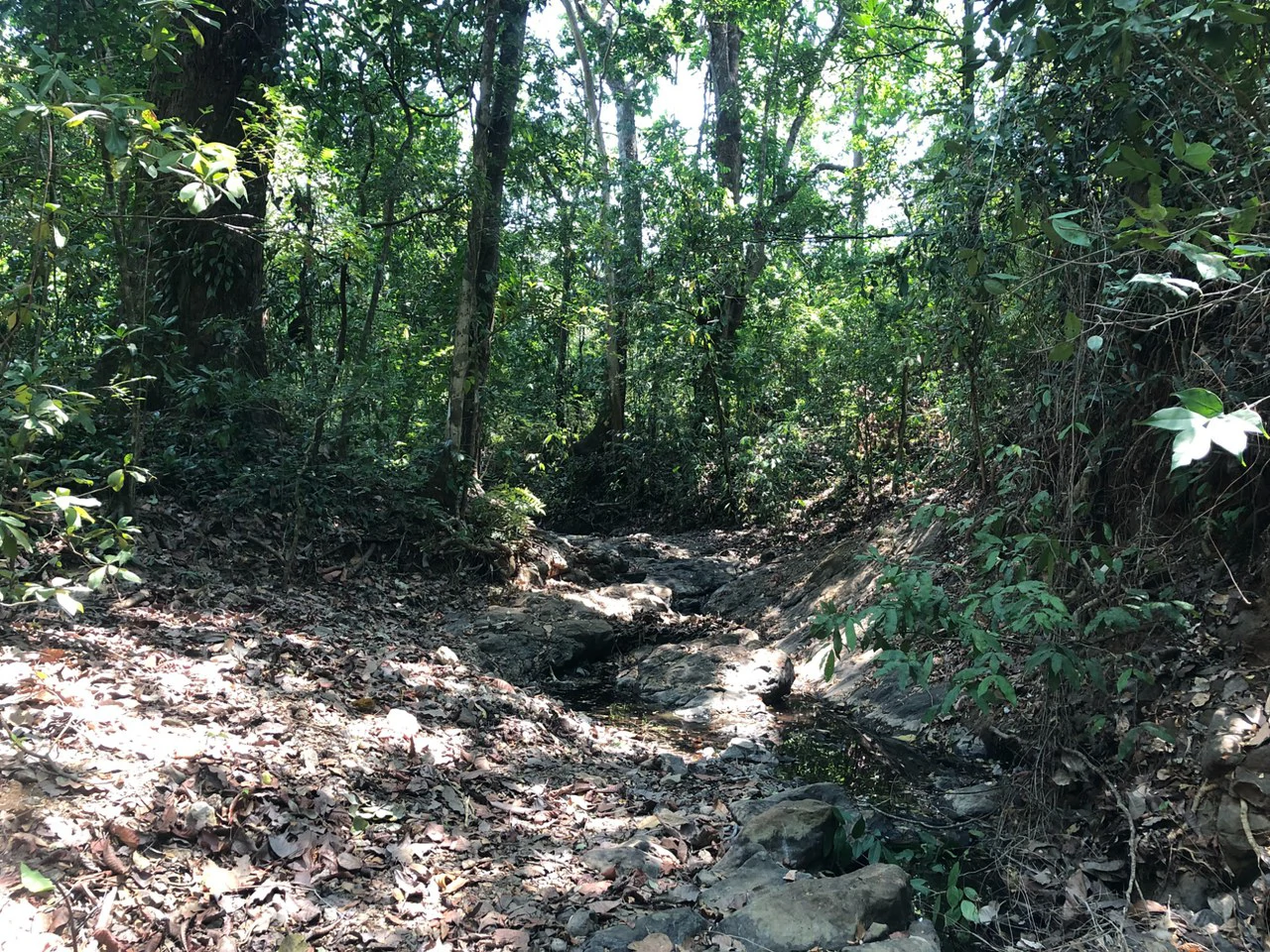 Prime Real Estate Opportunity, Lot with Creek Border in Santo Domingo hills - Gallery image 5